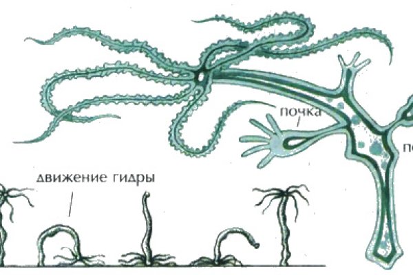 Кракен даркнет ссылка на сайт